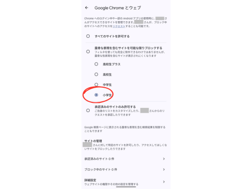 子どもの年齢に応じて制限を設定（例：小学生なら「小学生」）