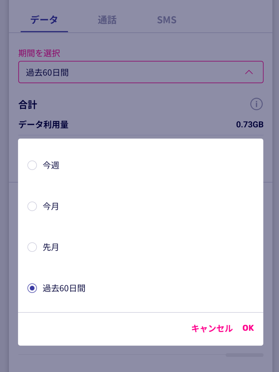 通話／SMS／データ利用状況